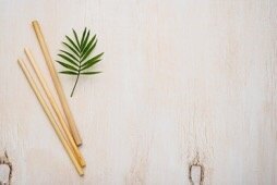 Bamboo as a Medicament for Back Problems