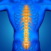 No. 9 Spinal Column Diseases