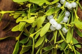 Intralesional and subcutaneous application of Viscum album L. (European mistletoe) extract in cervical carcinoma in situ A CARE compliant case report